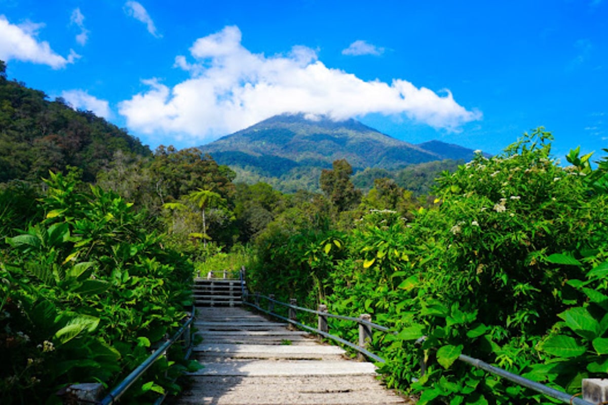 Situ Gunung