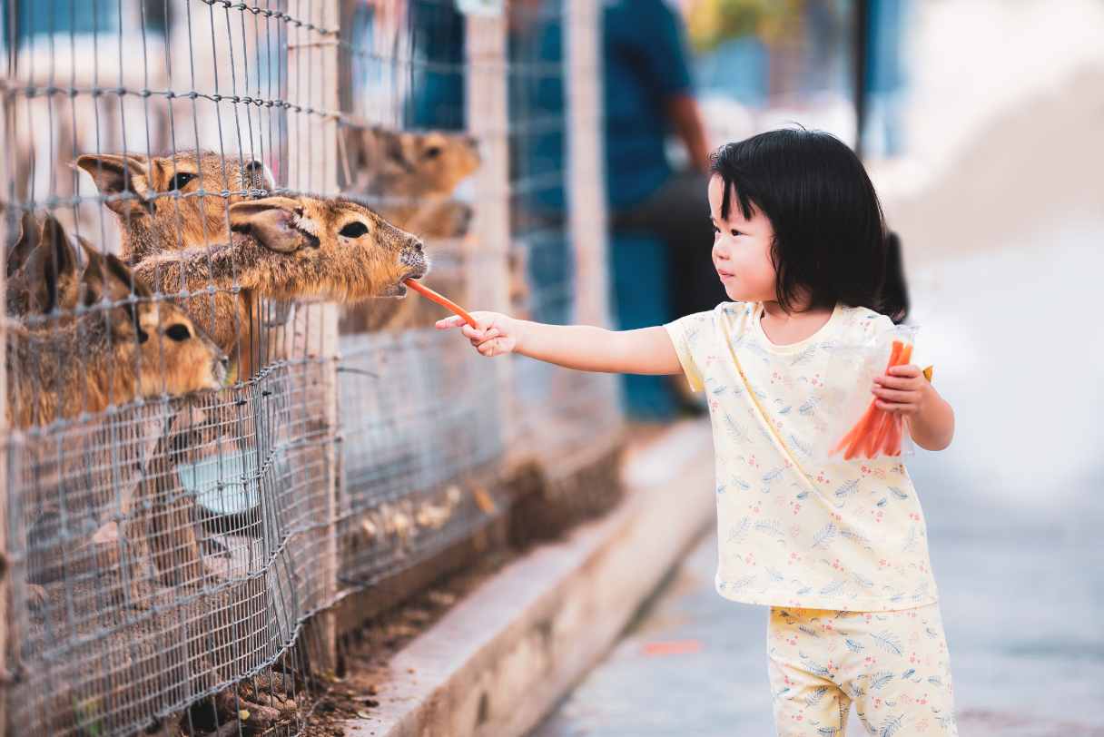 Lembang Park Zoo