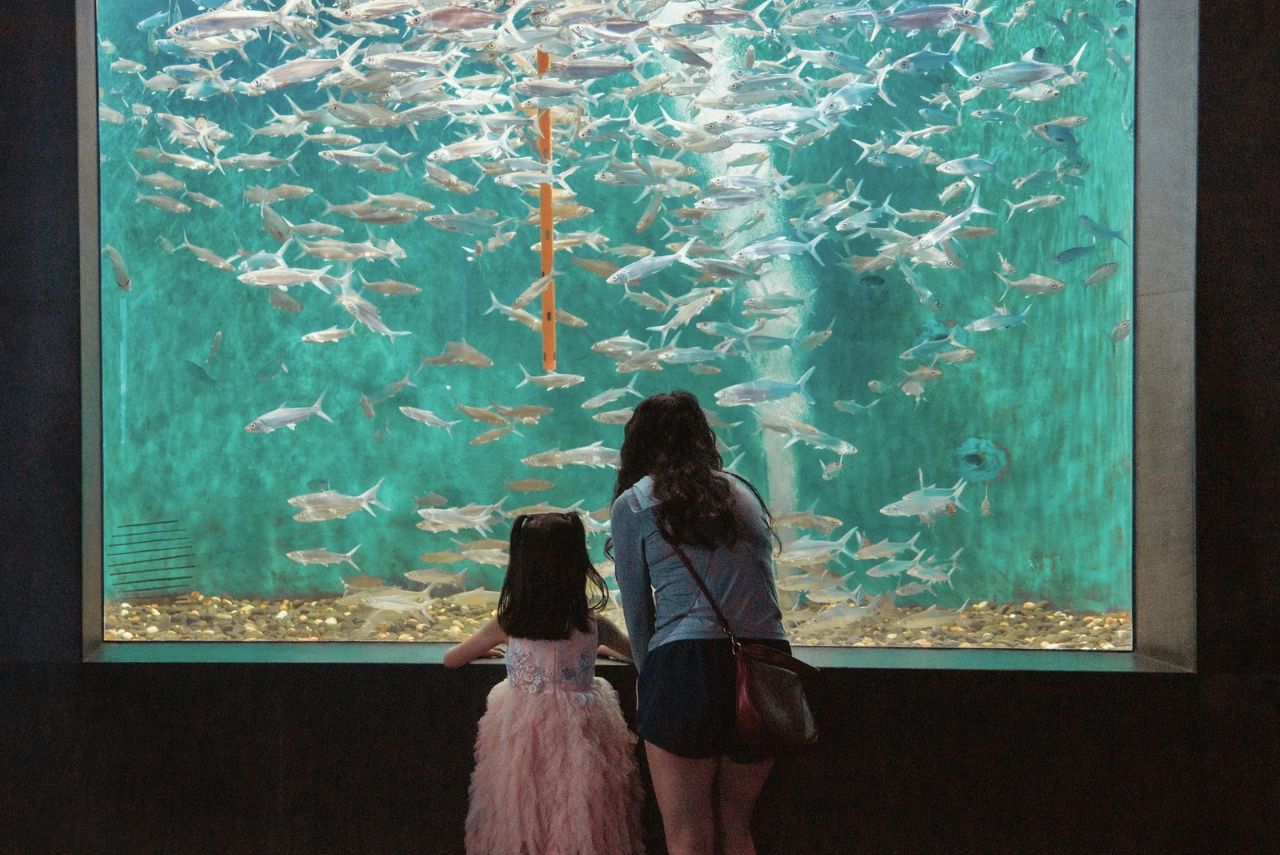 Aquarium Jakarta