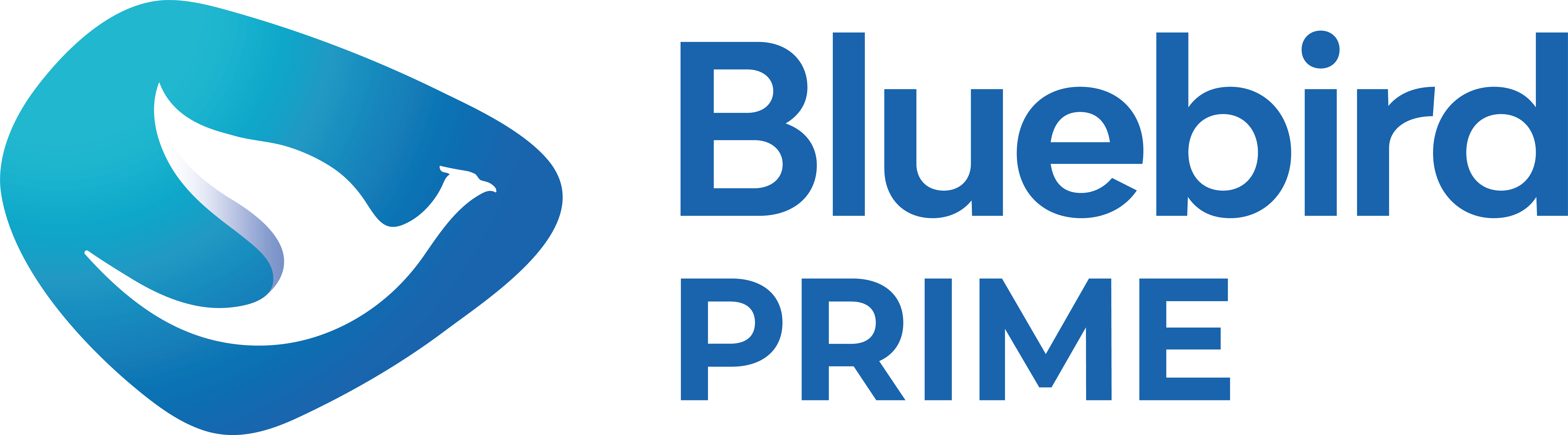 BBPRIMENEW